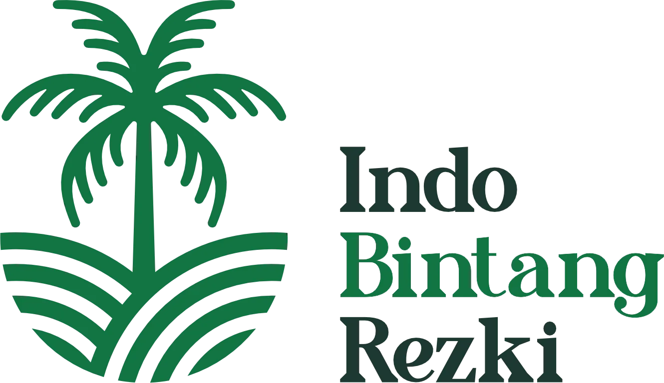 IBR Logo